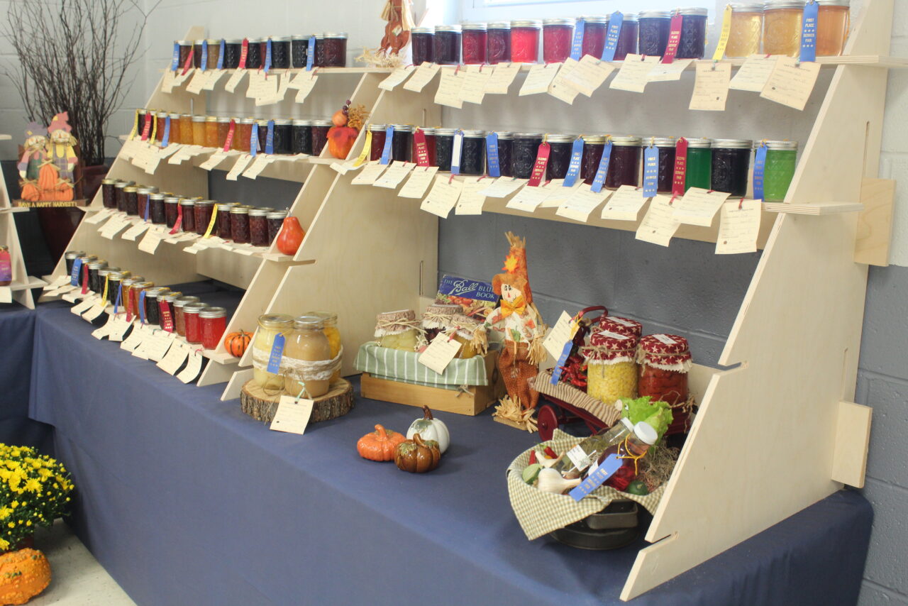 About Us The Denver Fair