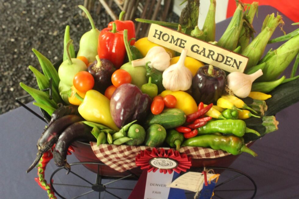 The Denver Fair | Denver, Pennsylvania